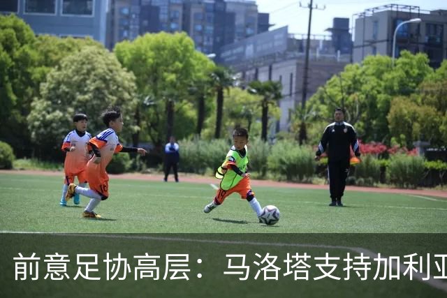 前意足协高层：马洛塔支持加利亚尼竞选足协主席，意甲已分裂